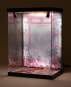 Acryl Display Case mit Beleuchtung Inbina Rasethuhime Saki M Edition 39cm SHINSAI 
