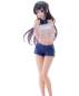 Mai Sakurajima (Rascal Does Not Dream of Bunny Girl Senpai) Tenitol PVC-Statue 29cm FuRyu 