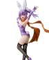 Satoko Kusagakure: Bunny Version (A Ninja and an Assassin Under One Roof) PVC-Statue 1/6 29cm FREEing 