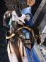 Bunny Suit Planning Sophia F. Shirring Sister Version Deluxe Edition (Original Character) PVC-Statue 1/6 28cm Magi Arts 