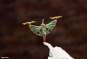Medicine Seller (Mononoke The Movie: The Phantom in the Rain) PVC-Statue 1/8 24cm Kotobukiya 