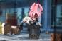 Nicole Demara (Zenless Zone Zero) PVC-Statue 1/7 23cm Apex Innovation 