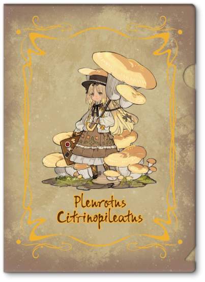 Serie No.3 Pleurotus Citrinopileatus (The Mushroom Girls) PVC-Statue 1/1 24cm Reverse Studio 