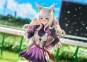 Biwa Hayahide (Uma Musume Pretty Derby) PVC-Statue 1/7 27cm Max Factory 
