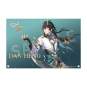 Dan Heng/Imbibitor Lunae DX Edition (Honkai: Star Rail) PVC-Statue 1/7 33cm Apex Innovation 