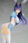 Fuyuka Yukishiro Bunny Version (Sword & Wizards) PVC-Statue 1/7 22cm Amakuni 