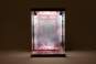 Acryl Display Case mit Beleuchtung Inbina Rasethuhime Saki M Edition 39cm SHINSAI 