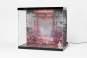 Acryl Display Case mit Beleuchtung Inbina Rasethuhime Saki 39cm SHINSAI 