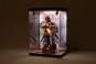 Acryl Display Case mit Beleuchtung Inbina Rasethuhime Saki M Edition 39cm SHINSAI 