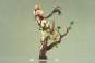 Anu Shen Mu Miao Ying Version (The Legend of Sword and Fairy) PVC-Statue 1/7 25cm Apex Innovation 