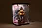 Acryl Display Case mit Beleuchtung Inbina Rasethuhime Saki M Edition 39cm SHINSAI 