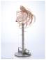 Chi Soothing Breeze (Chobits) PVC-Statue 42cm Oriental Forest 