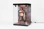 Acryl Display Case mit Beleuchtung Inbina Rasethuhime Saki M Edition 39cm SHINSAI 