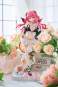 Liliya by Mimosa (Original Character) PVC-Statue 1/7 24cm Shenzhen Mabell Animation Development 