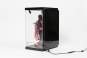 Acryl Display Case mit Beleuchtung Inbina Rasethuhime Saki M Edition 39cm SHINSAI 