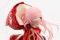 Zero Two (Darling in the Franxx) PVC-Statue 1/7 17cm Kotobukiya 