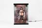 Acryl Display Case mit Beleuchtung Inbina Rasethuhime Saki M Edition 39cm SHINSAI 