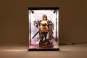 Acryl Display Case mit Beleuchtung Inbina Rasethuhime Saki M Edition 39cm SHINSAI 