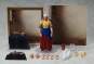 The Milkmaid by Vermeer (The Table Museum) SP-165 Figma-Actionfigur 15cm FREEing 