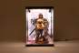 Acryl Display Case mit Beleuchtung Inbina Rasethuhime Saki M Edition 39cm SHINSAI 