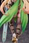 Elf Sisters Myciel (Original Character) PVC-Statue 1/6 24cm Hobby Sakura 