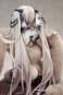 Formidable Still Illustration Version (Azur Lane) PVC-Statue 1/7 22cm Apex Innovation 
