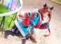 Transcend (Uma Musume Pretty Derby) PVC-Statue 1/7 24cm Phat Company 